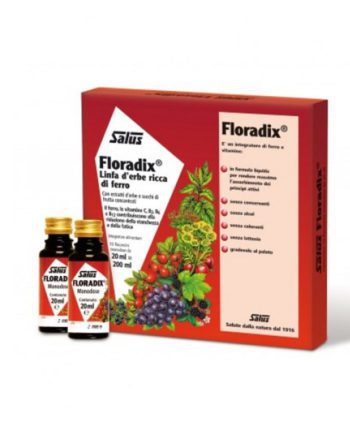 Power Health Floradix Amp σίδηρος και βιταμίνες 10 φιαλίδια των 20ml